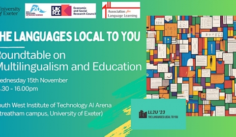 Languages Local to You poster