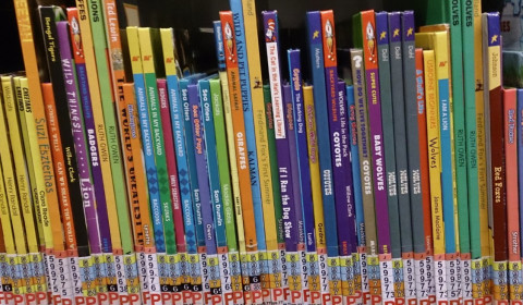 Books