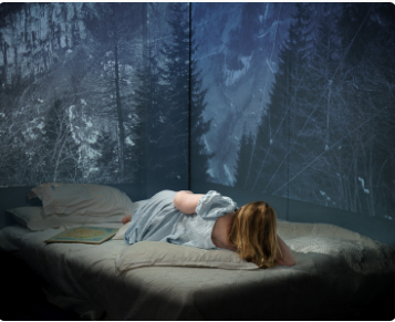Long haired woman lying on a bed facing away from the camara, with shadow images of trees and landscape in the background.