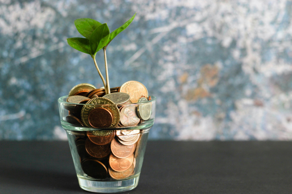 A small plant grows from a glass filled with coins