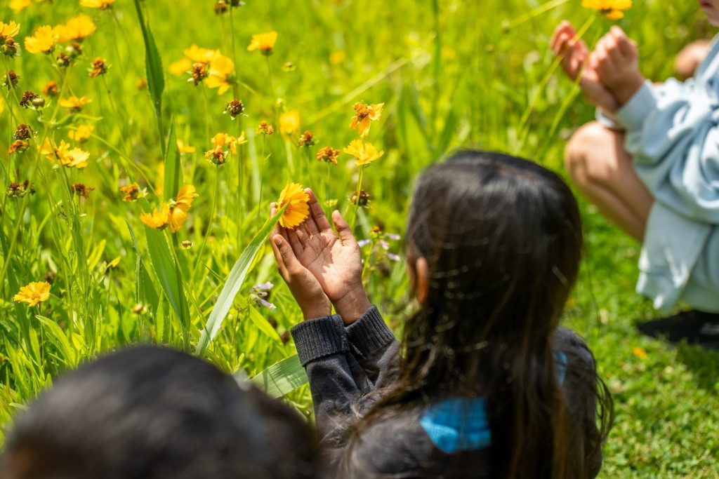 Image of children looking at flowers