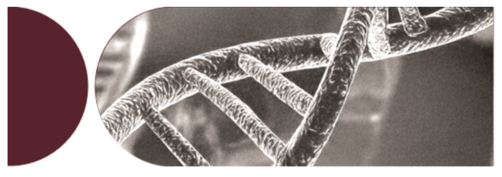 Image of DNA double helix