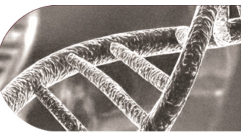 Image of DNA double helix
