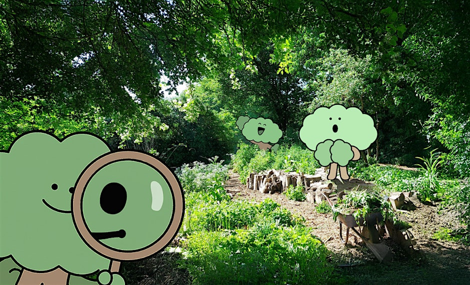 A brightly-lit forest with cartoon trees smiling and one holding up a magnifying glass