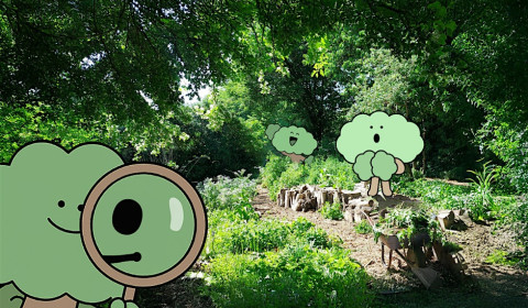 A brightly-lit forest with cartoon trees smiling and one holding up a magnifying glass