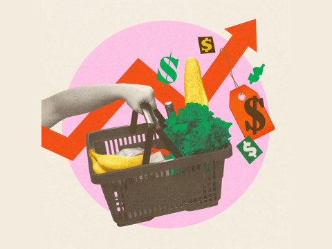 Collage art featuring a hand holding a shopping basket filled with groceries, set against a pink circle background with an upward-trending red arrow, floating dollar signs, and a price tag.