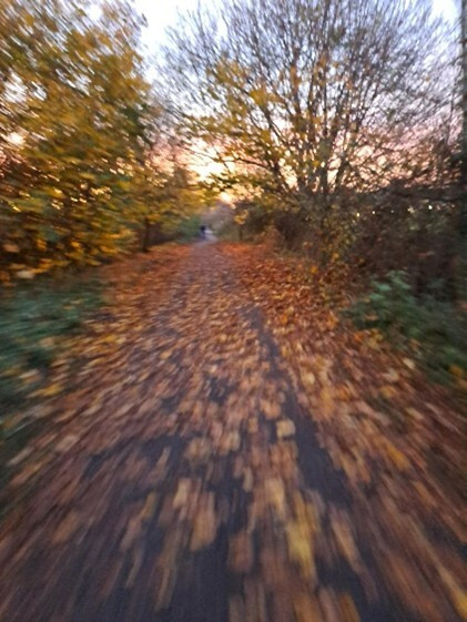 A photograph of a tarmac path (a waggonway) covered in autumn leaves with trees and bushes either side.
