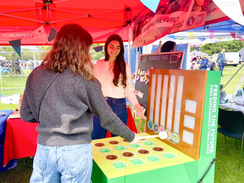 people playing a game of Whac a mole