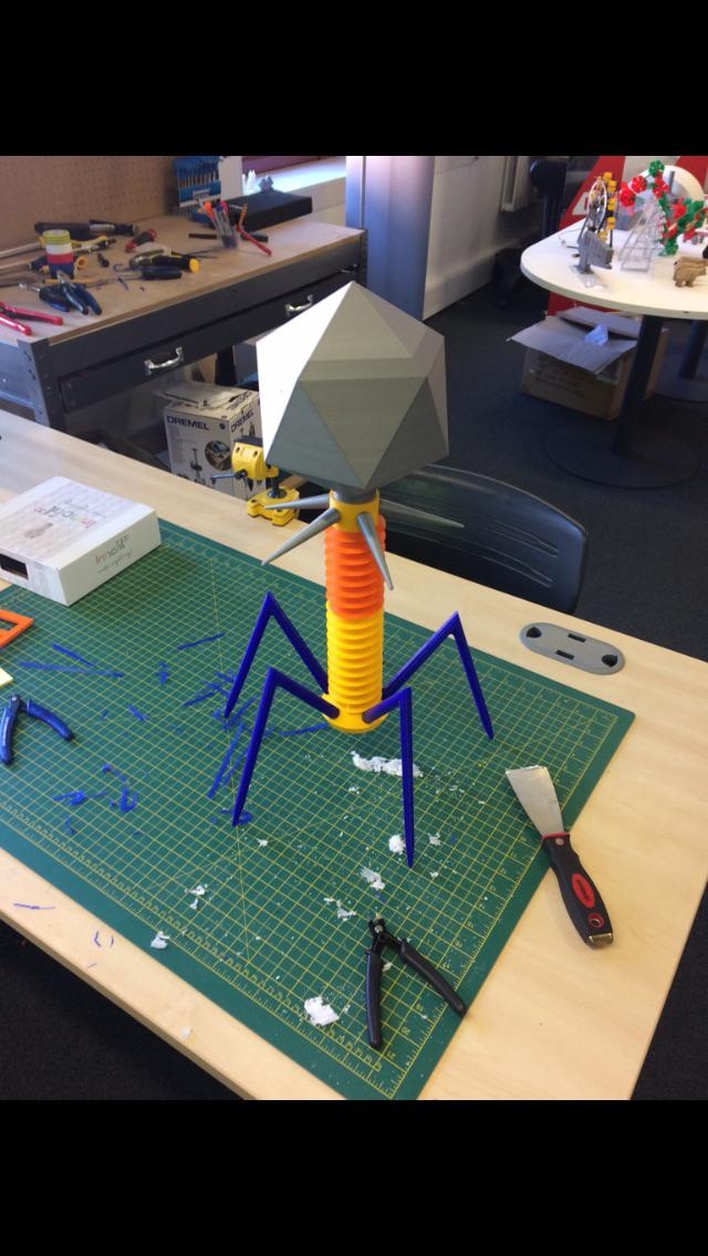 Model of a Bacteriophage