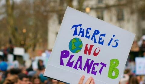Hand holding a placard reading 'There is no Planet B' at a climate protest