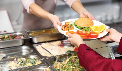 A school dinner cook hands a child a tray of school food with a sandwich and vegetables, over a counter featuring salads.