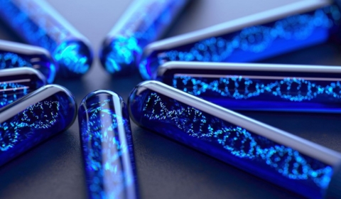 Image of blue test tubes containing DNA