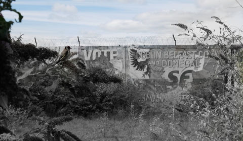 A black and white image with blue and white skies. The picture shows a wall topped with barbed wire. Trees and birds are in the foreground. The wall features a mural related to the Irish Republican Party, Sinn Fein.