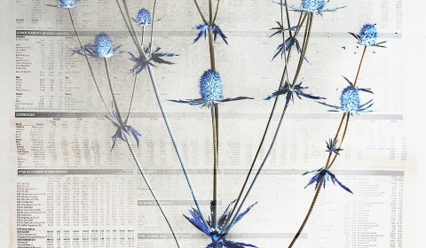 Blue flowers laid over market data